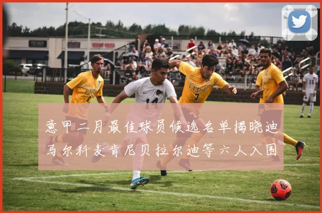 意甲二月最佳球员候选名单揭晓迪马尔科麦肯尼贝拉尔迪等六人入围